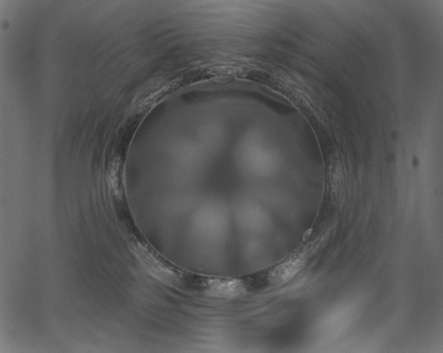 X0000067390185200603311308