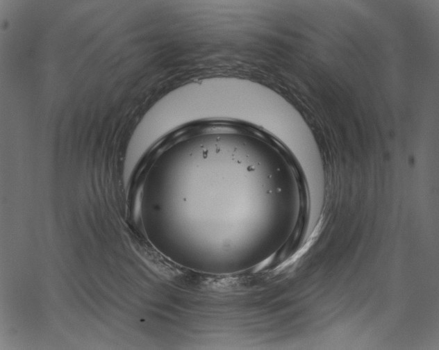 X0000067390186200603311308