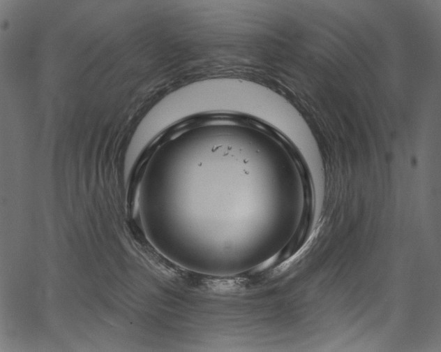 X0000067390187200603311308