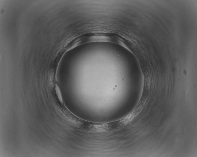 X0000067390188200603311308