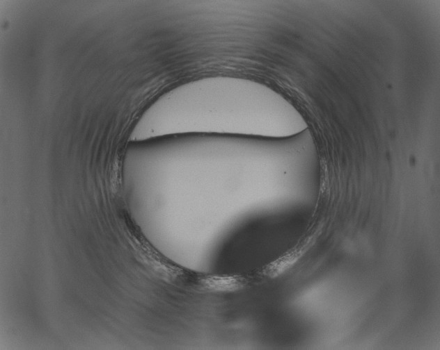 X0000067390189200603311308