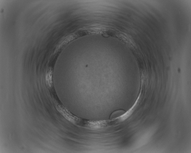 X0000067390190200603311308