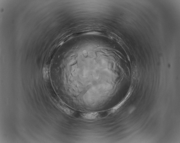 X0000067390191200603311308