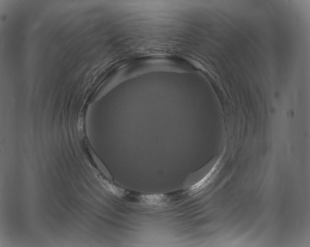 X0000067390192200603311308