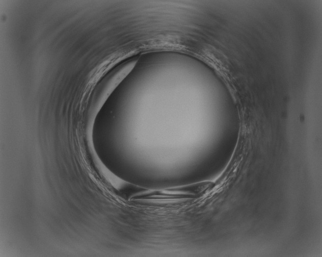 X0000067390193200603311307