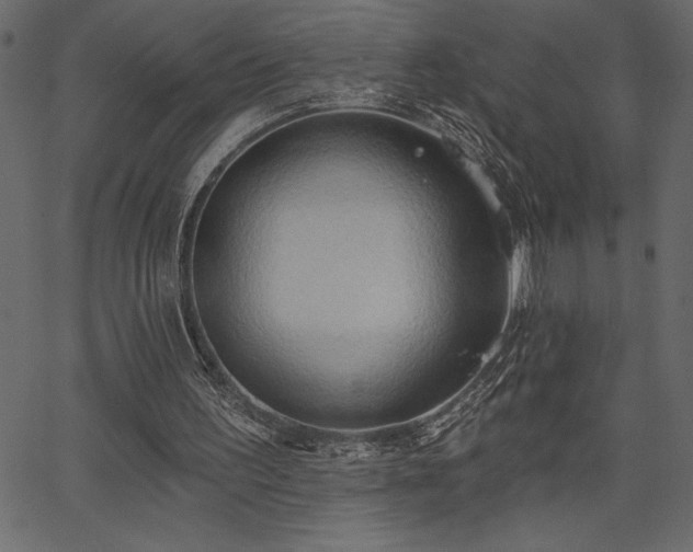 X0000067390195200603311307