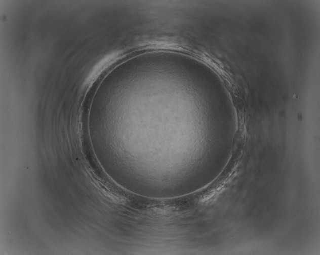 X0000067390199200603311307