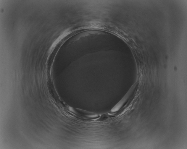 X0000067390200200603311307