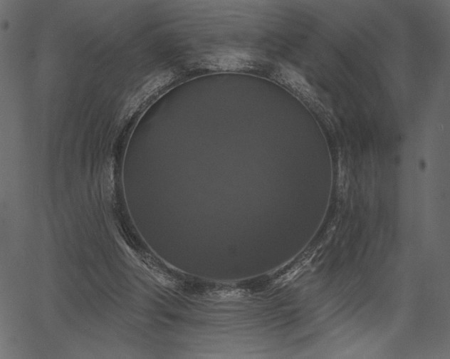 X0000067390202200603311307