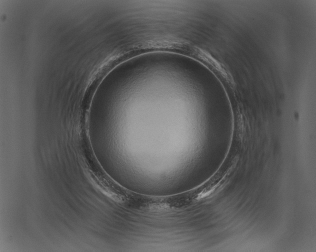 X0000067390203200603311307