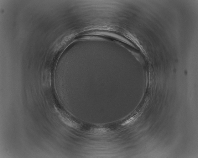 X0000067390205200603311307