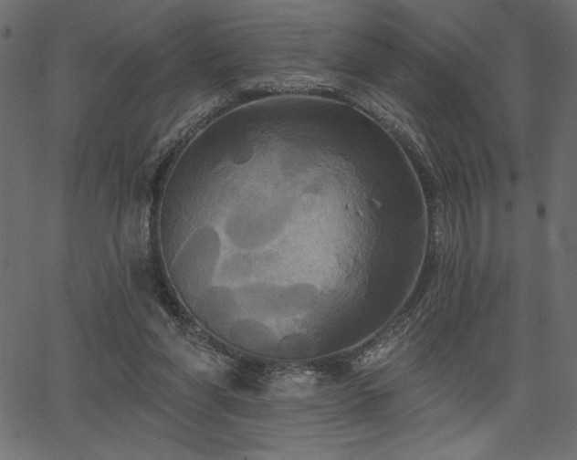 X0000067390206200603311307