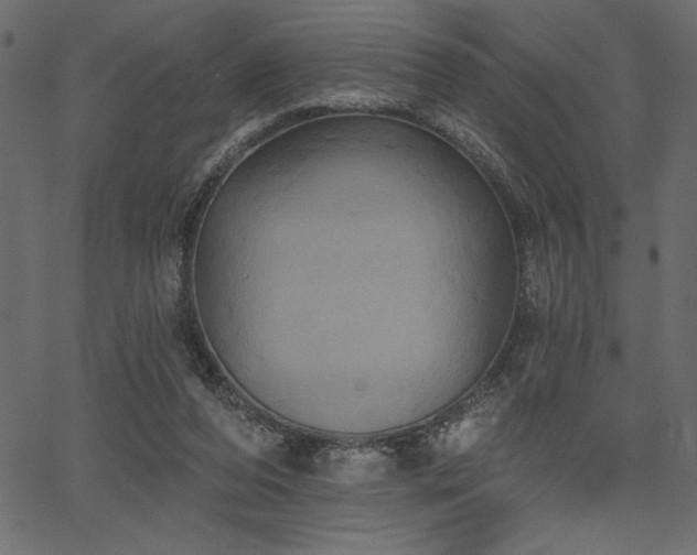 X0000067390208200603311307