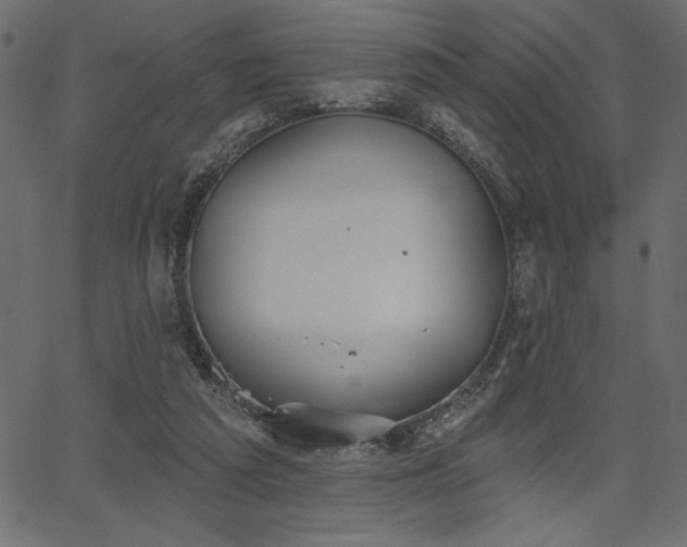 X0000067390209200603311307