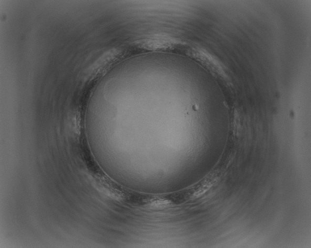 X0000067390210200603311307