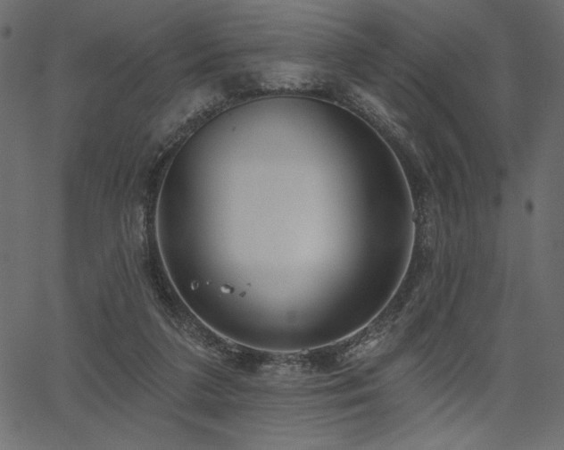 X0000067390211200603311307