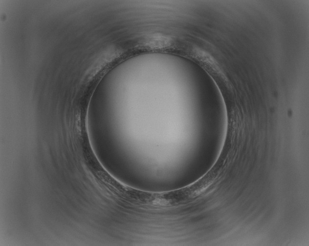 X0000067390212200603311307