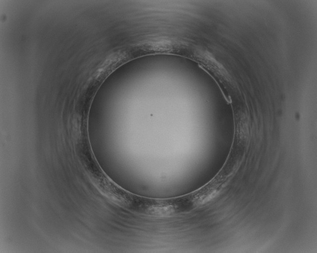 X0000067390213200603311307