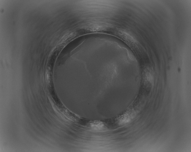 X0000067390214200603311307