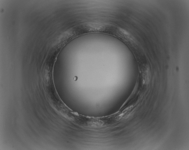 X0000067390215200603311307