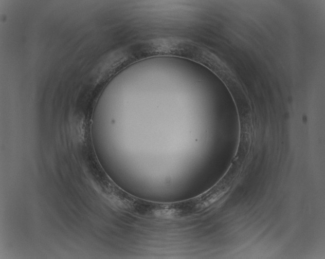 X0000067390216200603311307