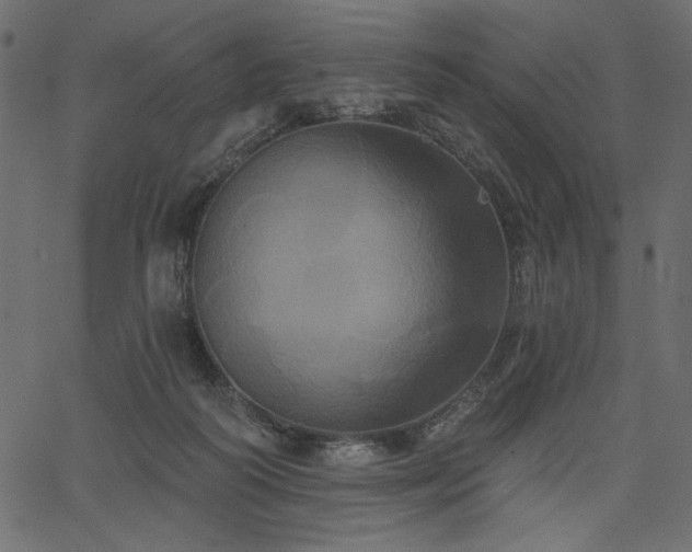 X0000067390218200603311307