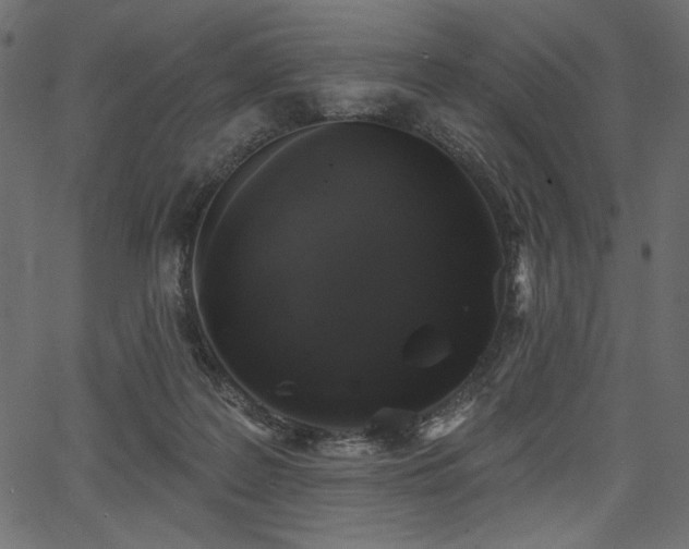 X0000067390219200603311307