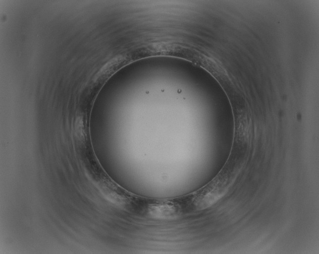 X0000067390220200603311307