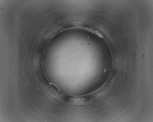 X0000067390221200603311307