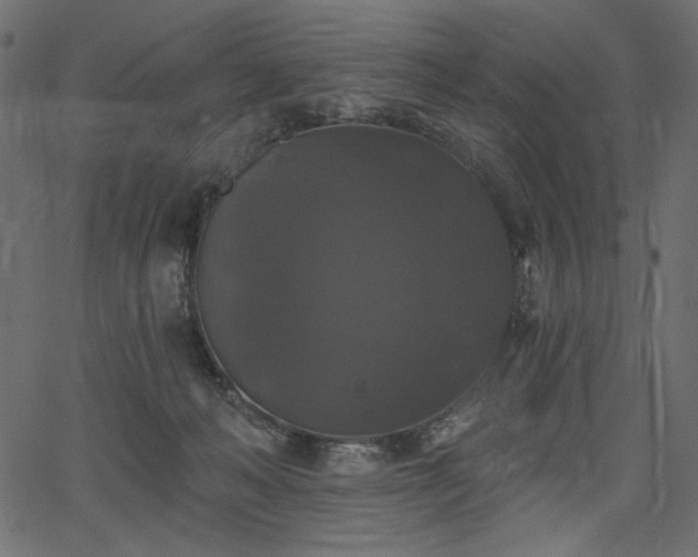 X0000067390222200603311307