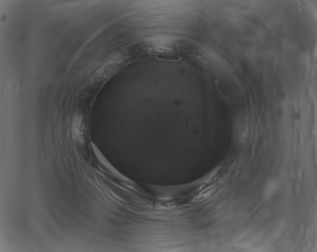 X0000067390223200603311307