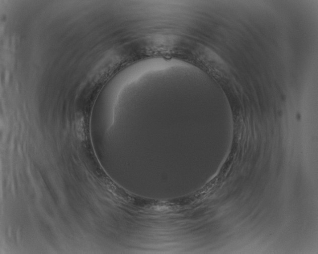 X0000067390224200603311307