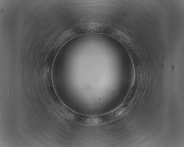 X0000067390225200603311307