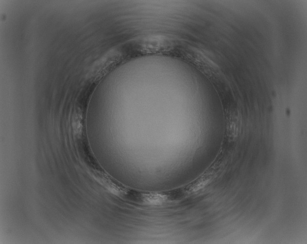 X0000067390226200603311307