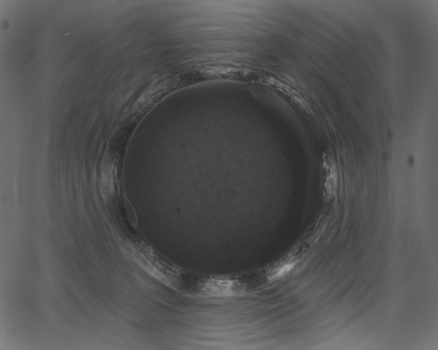 X0000067390227200603311307