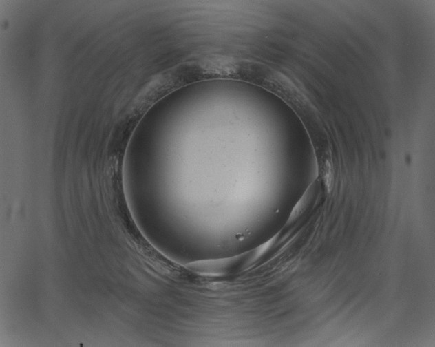 X0000067390229200603311307