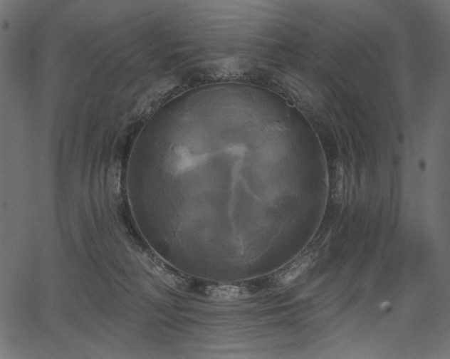 X0000067390230200603311307