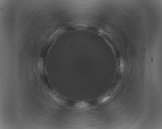 X0000067390231200603311307