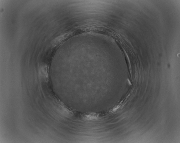 X0000067390232200603311307