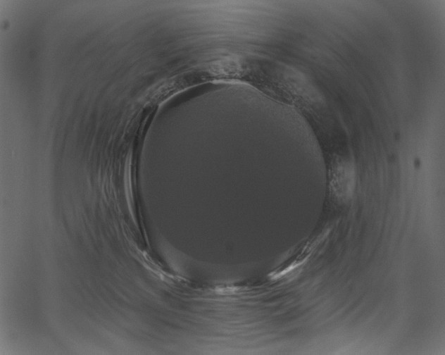 X0000067390233200603311307