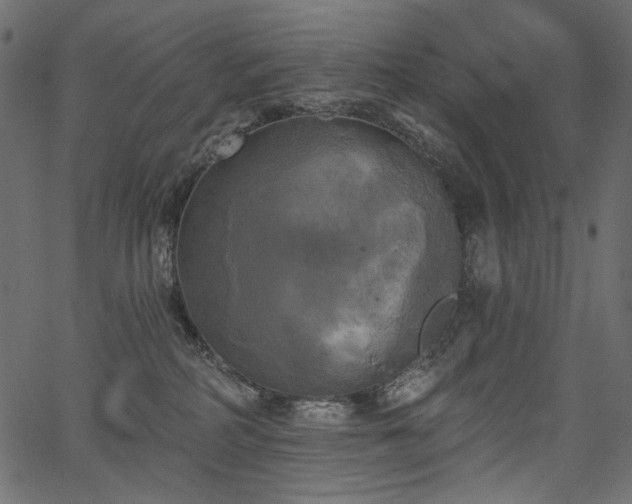 X0000067390234200603311307