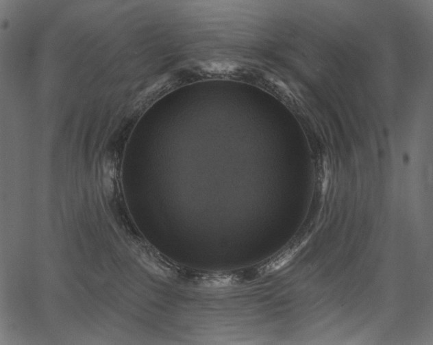 X0000067390235200603311307