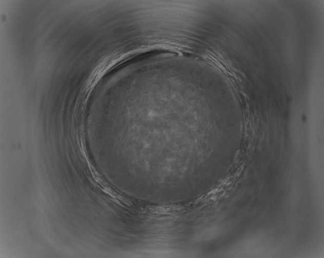 X0000067390241200603311306