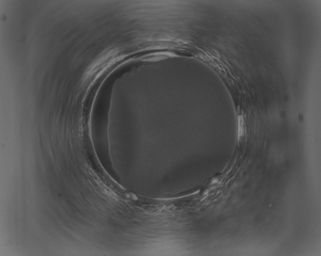 X0000067390243200603311306