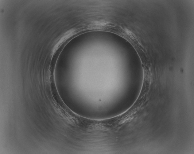 X0000067390244200603311306