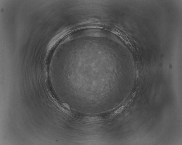 X0000067390245200603311306