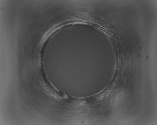 X0000067390247200603311306