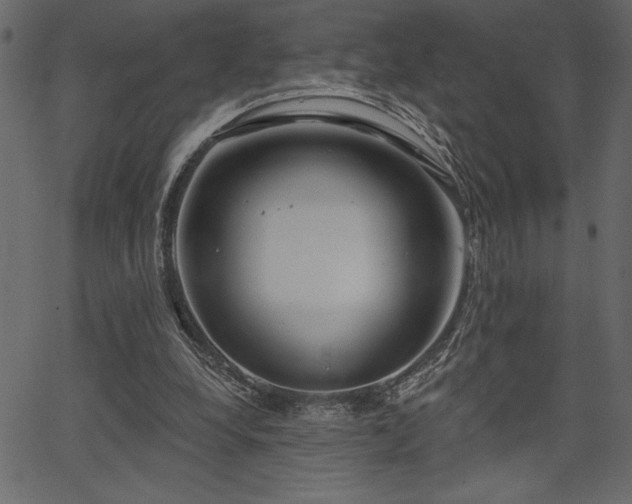 X0000067390248200603311306