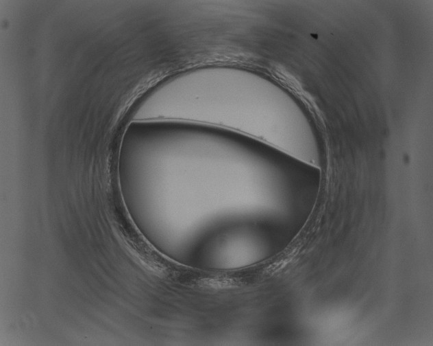 X0000067390250200603311306