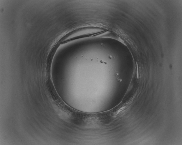 X0000067390252200603311306